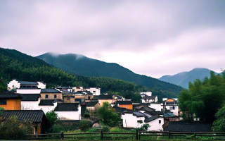 浙江游记，探秘美景，独享自然韵味