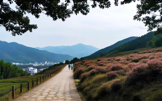 瑞安湖岭，一场与自然的浪漫邂逅