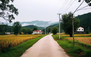 大风乡游记，风中的诗意与忧伤