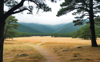 松山，那些被岁月抚过的古老印记 🌲🍃