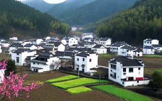 黄山脚下的世外桃源——黄山区内的隐秘风景