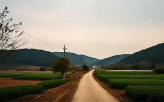 探秘溧阳周边，一次充满惊喜与发现的旅行日记