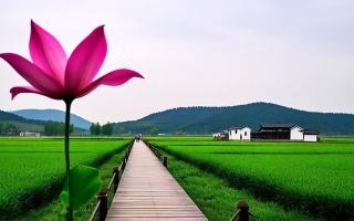 木兰附近景点，漫步古风余韵中的诗意田园