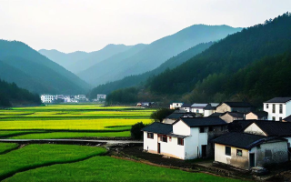 温州泰顺，山水间的诗意探寻与心灵之旅