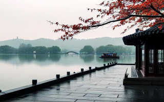 雨落杭州，邂逅诗意的景致