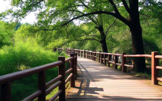 探索新干附近景点，一段旅途中的温暖邂逅