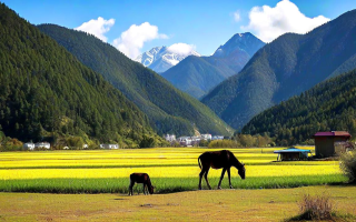 周宁，那些让人心驰神往的美景