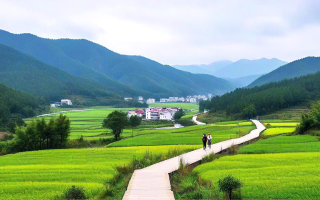 溪尾乡景，漫步自然画廊的心动之旅