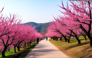 桃花景点，寻觅春日里的那抹粉色浪漫