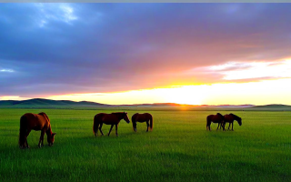 克什克腾旗，草原上的奇迹之旅🐎🌄