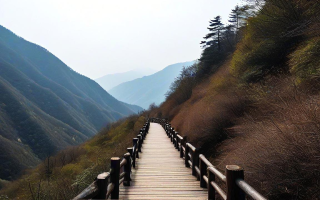 秦岭深处，一段无法忘怀的旅程与深情