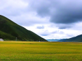 阿坝州旅游景点，探寻红原之美，尽享自然馈赠的神秘之境