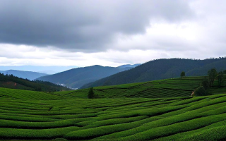 普洱的旅游景点