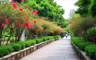 汕头市景点，哪里好玩的秘密花园