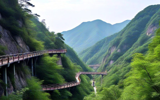 探秘神秘仙境，神龙谷的惊艳之旅