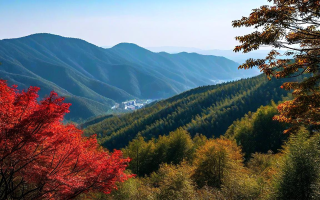 莫干山，一幅流动的画卷