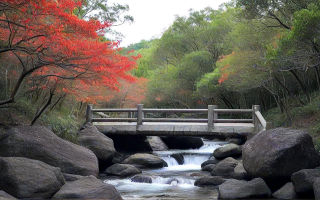 惠州艾美景点，探秘自然的奥秘，感受岁月的痕迹