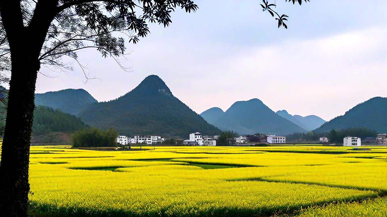 🌿广西融安，山水间的诗意寻踪🌳-第2张图片-广西旅游攻略网