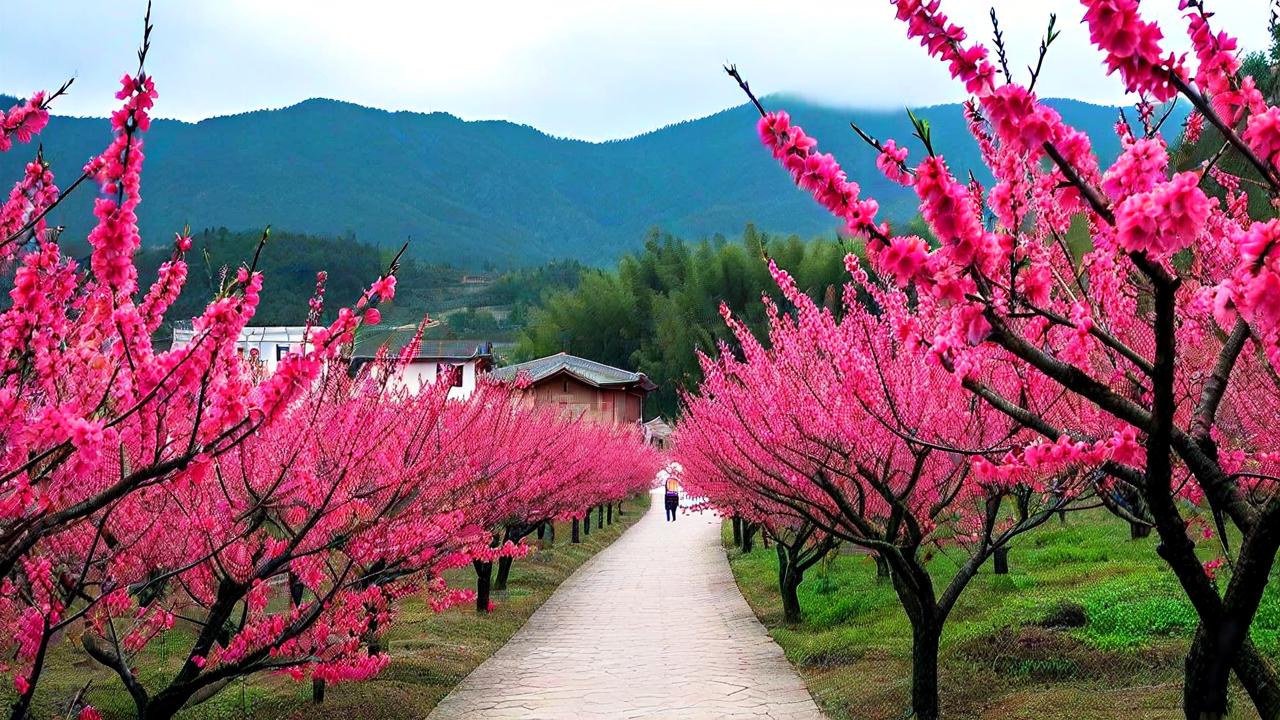 安溪景点大全，探秘福建心中的桃花源-第3张图片-广西旅游攻略网